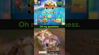 The Team Had Mixed Feelings About The Dragonflies In Big Bass Bonanza casino slots casinogames [upl. by Newmark782]