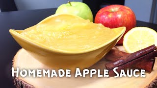 Simple Homemade Apple Sauce Recipe [upl. by Adlih]