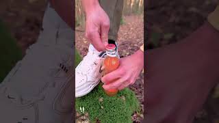 Amazing Lifehack survival lifehacks camping bushcraft [upl. by Maddeu]