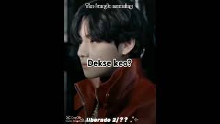 The Bangla meaning bts handsomev btsarmy vversion suga vfangirl army btsvhandsome [upl. by Oby]