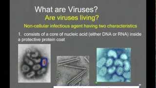 Introduction to Viruses and Viral Replication [upl. by Aurelio141]