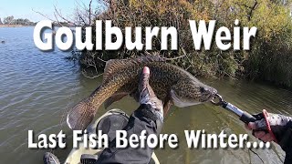 Goulburn Weir May 2022 Nagambie  Murray Cod Kayak Fishing  Final Fish Before Winter [upl. by Aikemal]