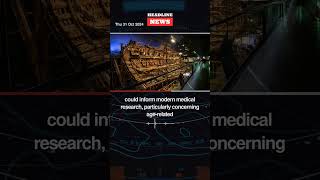 Unlocking Tudor Secrets How Mary Rose Bones Illuminate Sailor Lives and Modern Medicine [upl. by Rahsab305]