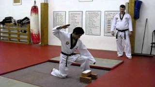 TaeKwonDo Bruchtest Nr4 Stein [upl. by Maice]