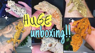 UNBOXING 12 NEW GECKOS He gave me 2 FOR FREE INSANE [upl. by Aicnatsnoc]