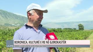 BORONICA FRUTI QÃ‹ PO KULTIVOHET NÃ‹ TOKAT E GJIROKASTRÃ‹S [upl. by Sivie167]