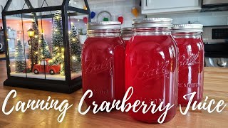 Its Cranberry Season Lets Water Bath Can Homemade Cranberry Juice  Winter Canning [upl. by Acinorahs746]