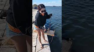 FINDING SUNKIN BOAT TREASURE WHILE MAGNET FISHING shortsfeed magnetfishing [upl. by Akinert]