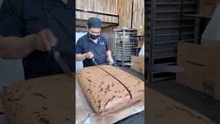 Delicious Chocolate Castella Cake Cutting [upl. by Lotsirhc719]