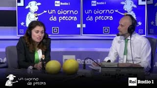 Susanna Ceccardi ad un giorno da pecora [upl. by Brozak]