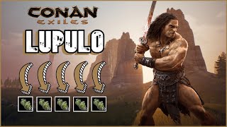 Conan Exiles  🍺 LUPULO 🍺  Cómo HACER CERVEZA SUAVE en el BARRIL DE FERMENTACIÓN 2 [upl. by Schwinn]