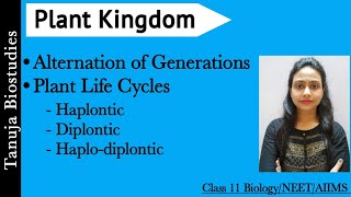 Life Cycles of algae with diagram  diplontic haplontic and haplodiplontic isomorphic lifecycle [upl. by Anividul]