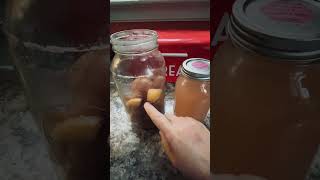 How to make Apple Cider Vinegar from Apple Scrapes [upl. by Awahsoj288]