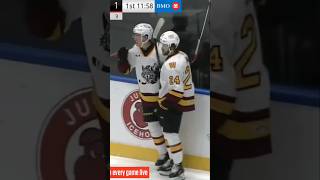 A 32 victory beating the Icehogs for the Wolves shorts shortvideo nhl icehockey hockey [upl. by Etti26]