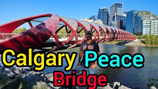 Calgary Peace Bridge Alberta Canada [upl. by Nanis]