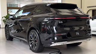 2024 Geely Zeekr 7X indepth Walkaround [upl. by Pul]