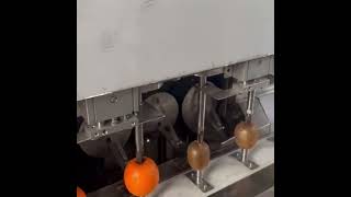 Automatic Kiwi Apple Orange Lemon Peeling Machine machine [upl. by Sachi]