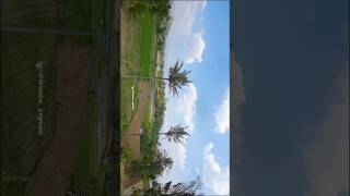 View drone fpv dji o3 [upl. by Rand]