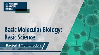 Basic Molecular Biology Basic Science – Bacterial Transcription [upl. by Arot]