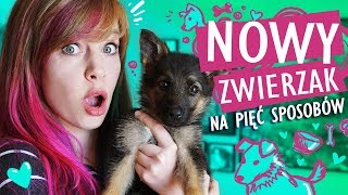 Rysuję SZCZENIAKA na 5 sposobów 🐶 Mam nowego psa [upl. by Arline511]