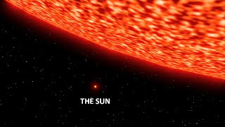 Sun vs Biggest Star Size Comparison  3d Animation Comparison  Stars Real Scale Comparison [upl. by Lothar]