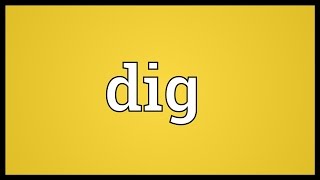 Dig Meaning [upl. by Arty]