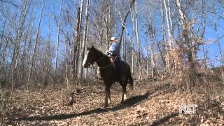 Hidden Cave Ranch BampB  Kentucky Life  KET [upl. by Dnalsor]