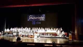 Ensamble de Marimbas 2015 Pieza Ave Lira Autor Luis Delfino Betahncourt [upl. by Mcdermott]