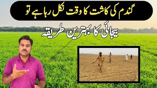 The best method for wheat seed sowing  Dry sowing drill method for wheat seed  Abid Ali Agrarian [upl. by Harhay]