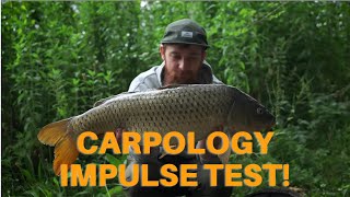 Carpology Impulse Test [upl. by Haleeuqa]