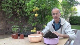 كيفية زراعة بذور النباتات How to grow plants from seed [upl. by Parent]