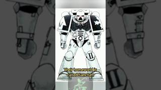 Obscure Space Marine Chapters The White Templars warhammer40k spacemarines [upl. by Greysun676]