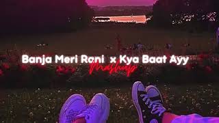 Banja Tu Meri Rani X Kya Baat Ayy Mashup Remix Slowed  Reverb [upl. by Konstance]