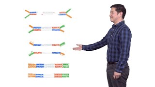 Next Generation Sequencing 2 Illumina NGS Sample Preparation  Eric Chow UCSF [upl. by Ainerbas]