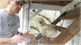 The Chicken Roost  Building Chicken Coop from Dog Kennel [upl. by Aicxela]