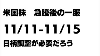 米株 日柄調整 2024年11月11日−11月15日の相場見通し [upl. by Yecies]