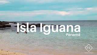 🏝 Isla Iguana  Pedasí 🦎  🐋 Avistamiento de BALLENAS en Panamá 🇵🇦 [upl. by Nawaj49]