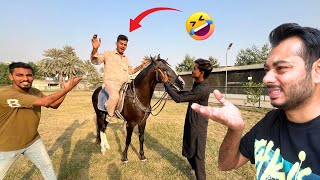 HORSE KA BURA HAAL🤪 ALI HORSE PE BETH GAYA FINALLY [upl. by Nysila514]