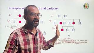 Biology  Chromosomal Basis of Inheritance  Part 2  Week2  AIISH NFAT NIEPMD NIMHANS WEEK2 [upl. by Hare]