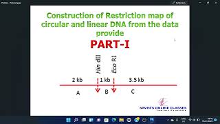 Restriction Mapping of Linear DNA  Restriction Mapping live class Part 1 [upl. by Moreland695]