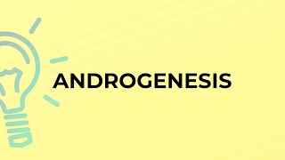 What is the meaning of the word ANDROGENESIS [upl. by Suzette977]