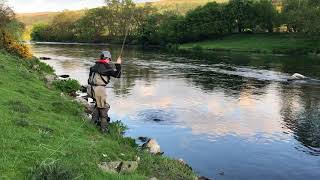 Fishing the mayfly hatch on the River Dee Wales [upl. by Leaffar]