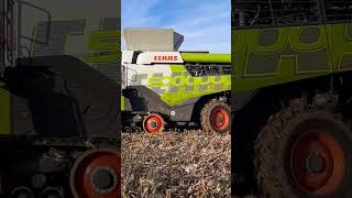 CLAAS Sonderedition 500000 Mähdrescher beim Mais dreschen claas mais harvest [upl. by Jenica207]