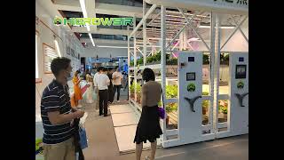 Review of the 2022 Guangzhou Lighting Asia Exhibition [upl. by Llehsem]