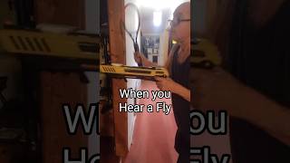 When You Hear a Fly fly flyswatter flies swat zapper bugasalt exterminator funny shorts [upl. by Muhan]