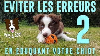 Eviter les ERREURS déducation avec son Chiot Vol2 [upl. by Oiznun]