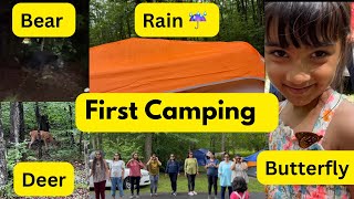 Camping in Rain with Bear Deer amp Butterfly Tobyhanna State Park camping desisibling trending [upl. by Haymes]