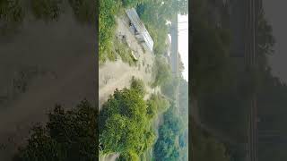 Prayagraj allahabad beargrylls forest wildlife viralvideo trending viralvideo viral [upl. by Fisken265]