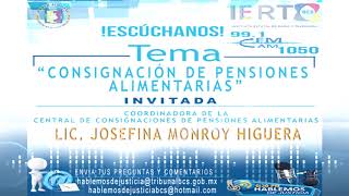 PROGRAMA 49  CONSIGNACIÓN DE PENSIONES ALIMENTARIAS [upl. by Ahsilla572]