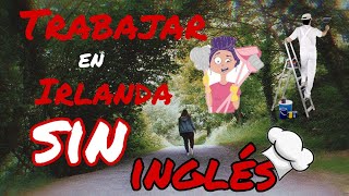 Trabajar en Irlanda sin INGLES 🇮🇪😱 [upl. by Nezah]